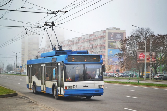 Zagwarantuj sobie komfortowy przewóz do pracy w Belgii - międzynarodowy transport bardzo wysokiej jakości!